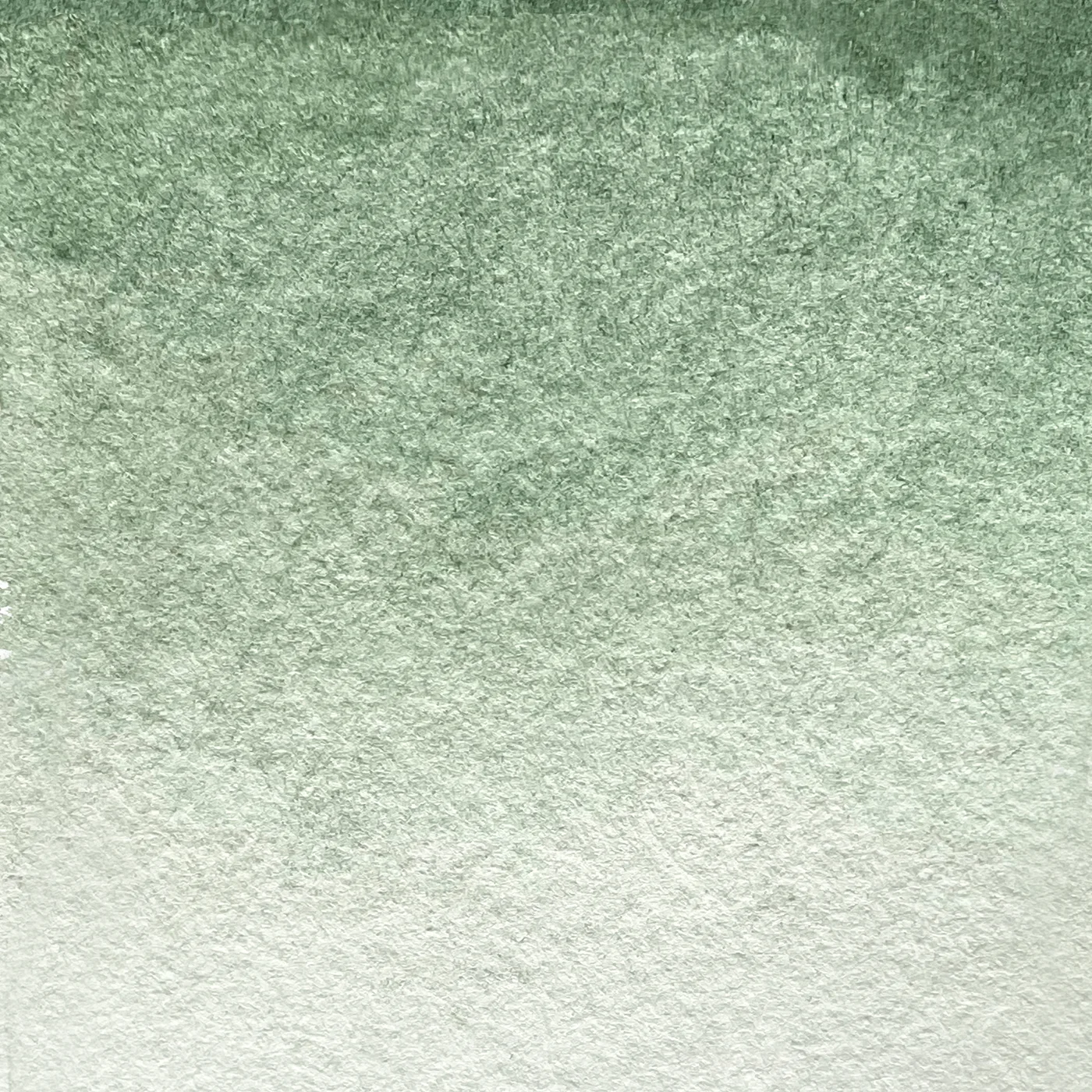 Extrafine Handmade Watercolor Green Earth
