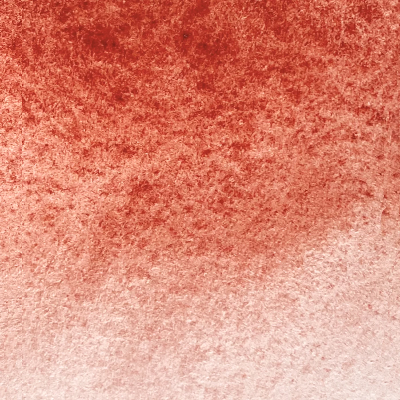 Extrafine Handmade Watercolor Genuine Madder Lake