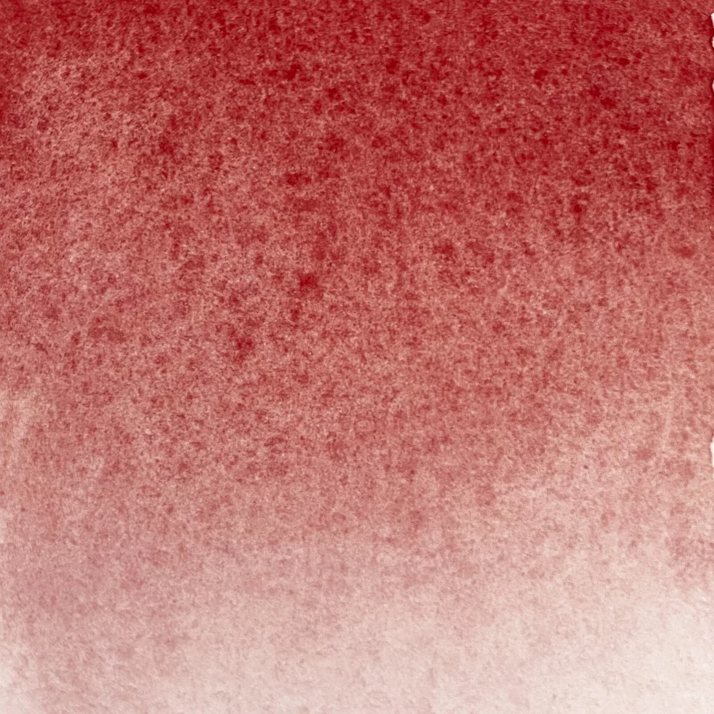 Extrafine Handmade Watercolor Cadmium Bordeaux