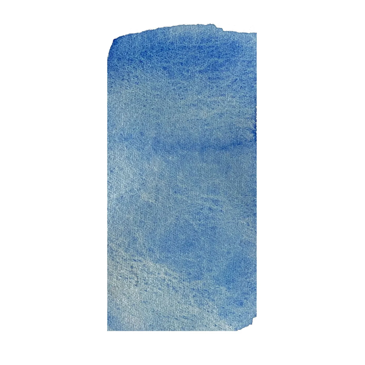 色彩涂色样本